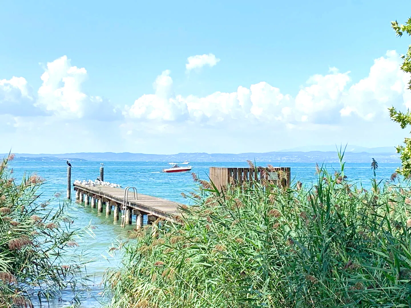 Glimpses of peace and wild nature just steps from Suite Bianca: Lake Garda offers you moments of pure tranquility.