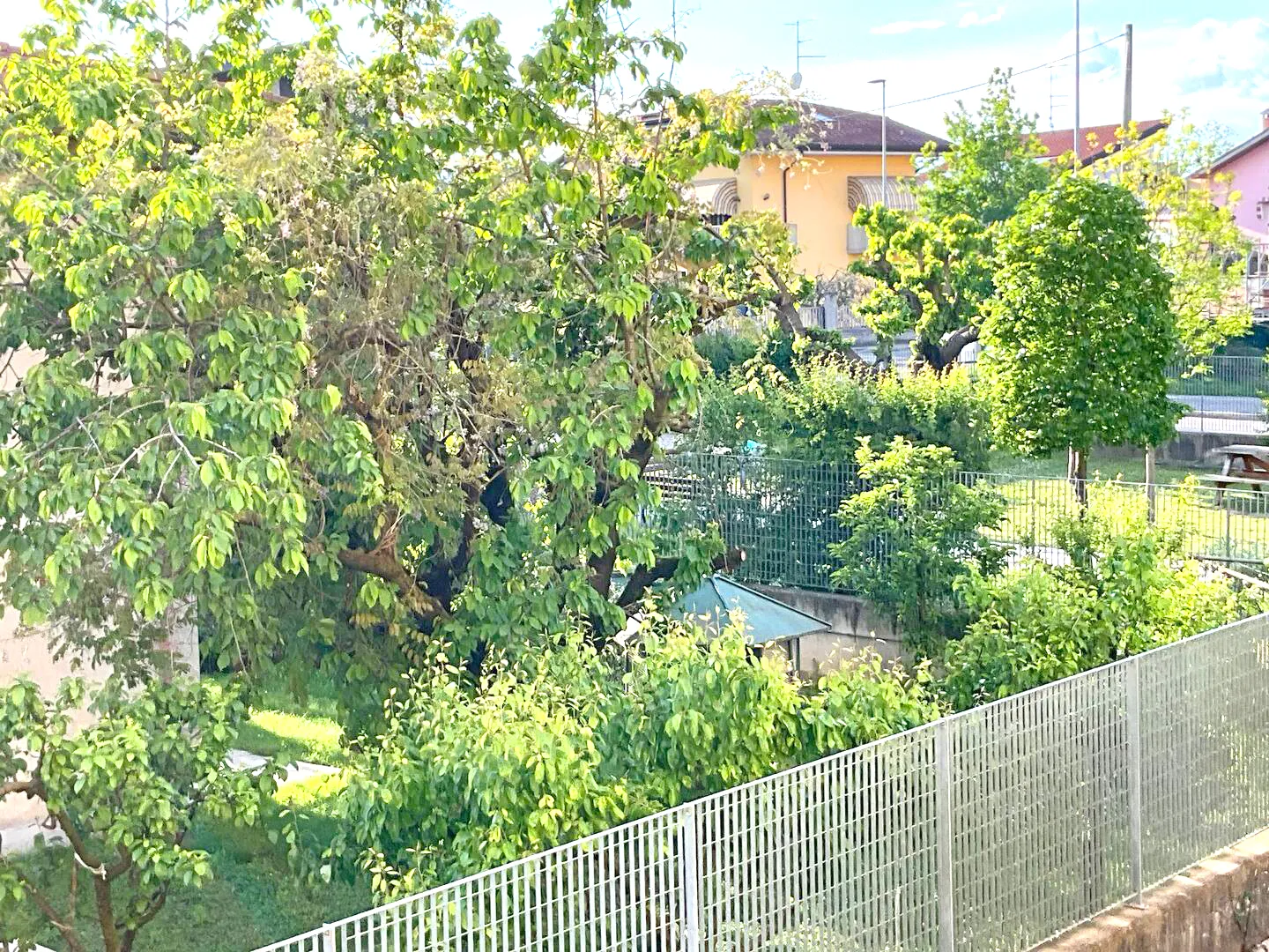 From your terrace, only silence, greenery and blue skies: Suite Verona is the ideal refuge in the heart of the city.