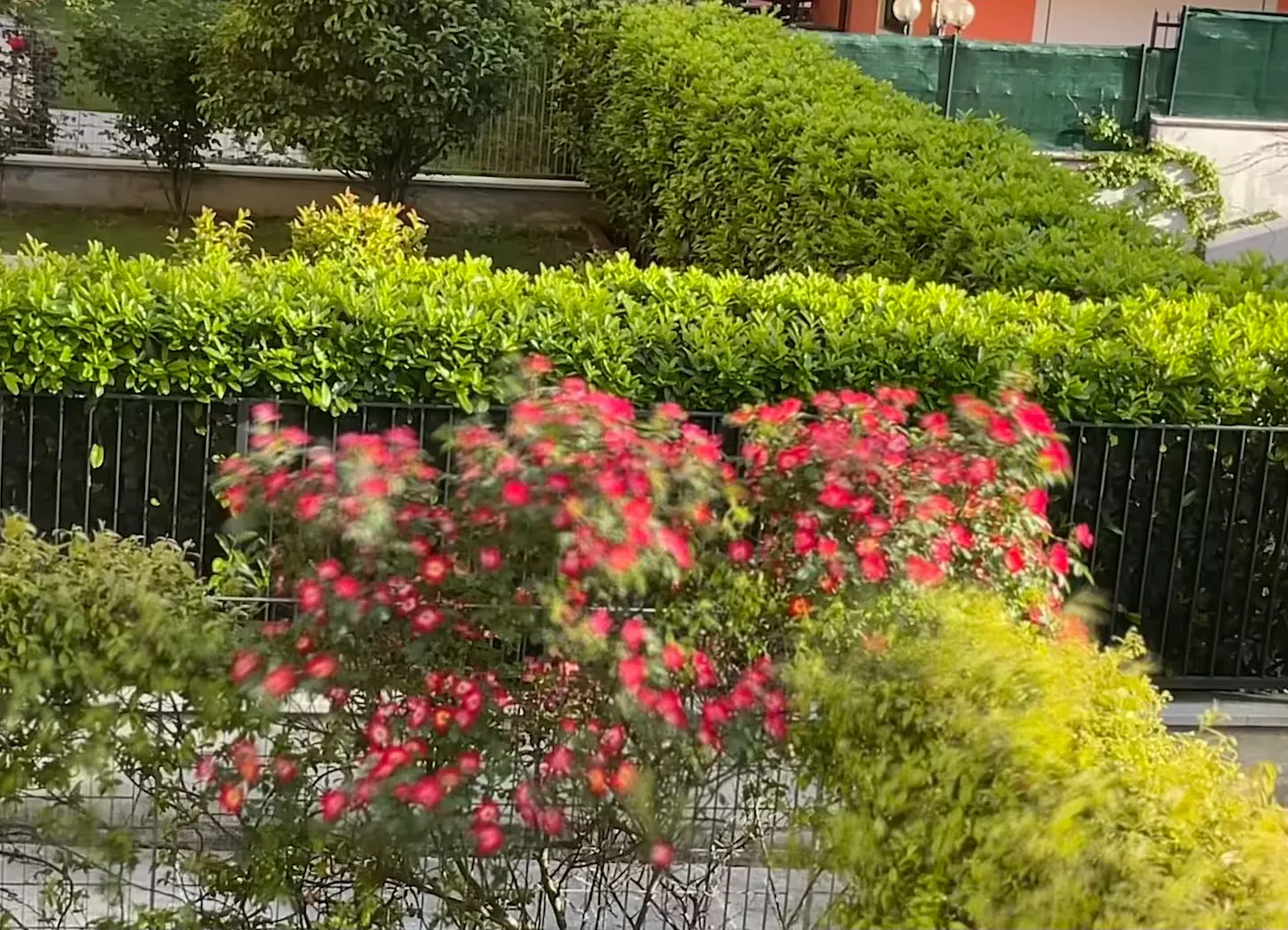 A breath over the neighborhood: the view from Suite Verona offers light, silence and a feeling of peace every day.